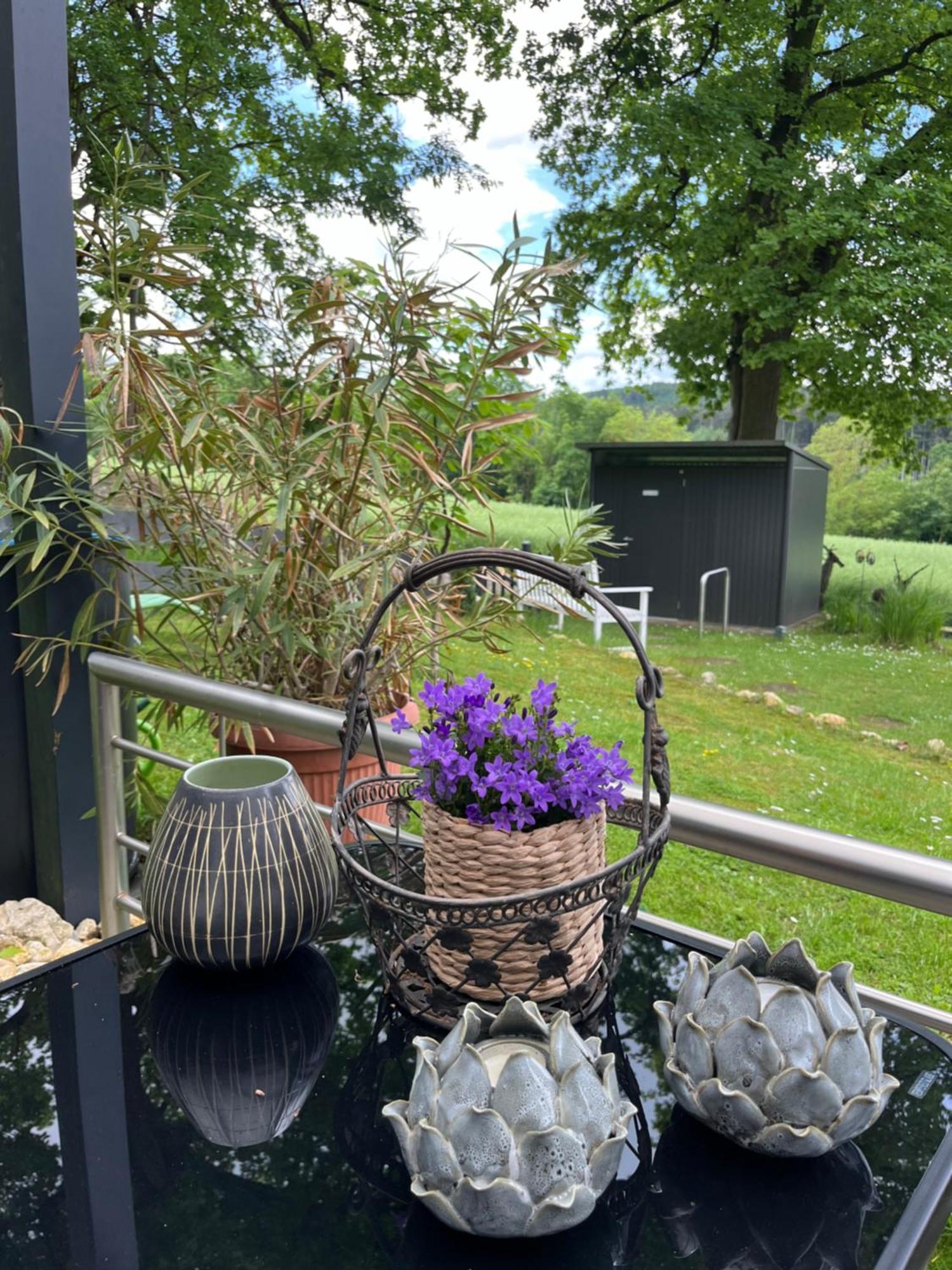 Waldrand Bei Geyer -saal An Der Donau- Apartment *