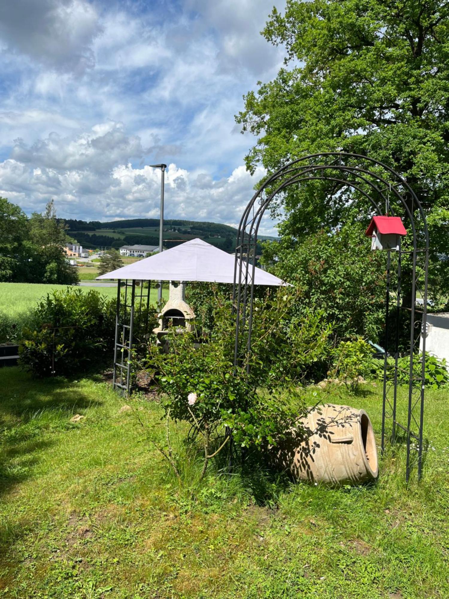 Waldrand Bei Geyer -saal An Der Donau- *